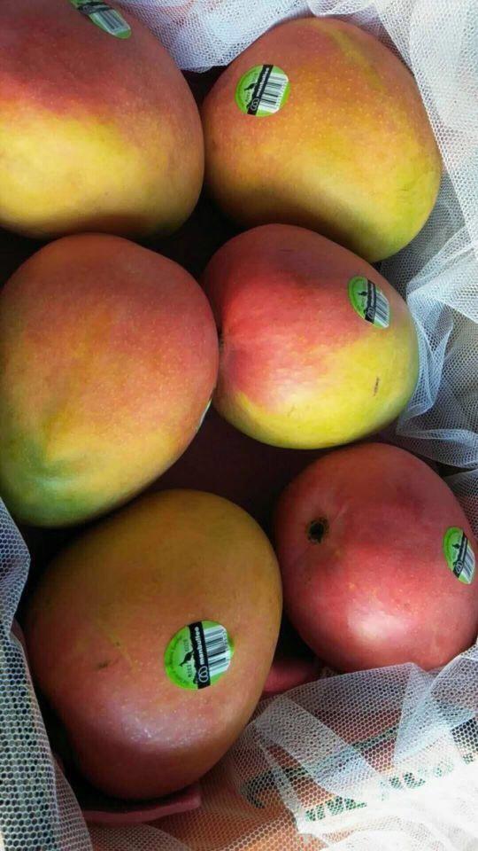 十大正规彩票app下载苹果手机：✅苹果手机必备的正规彩票官方平台排行榜前十？